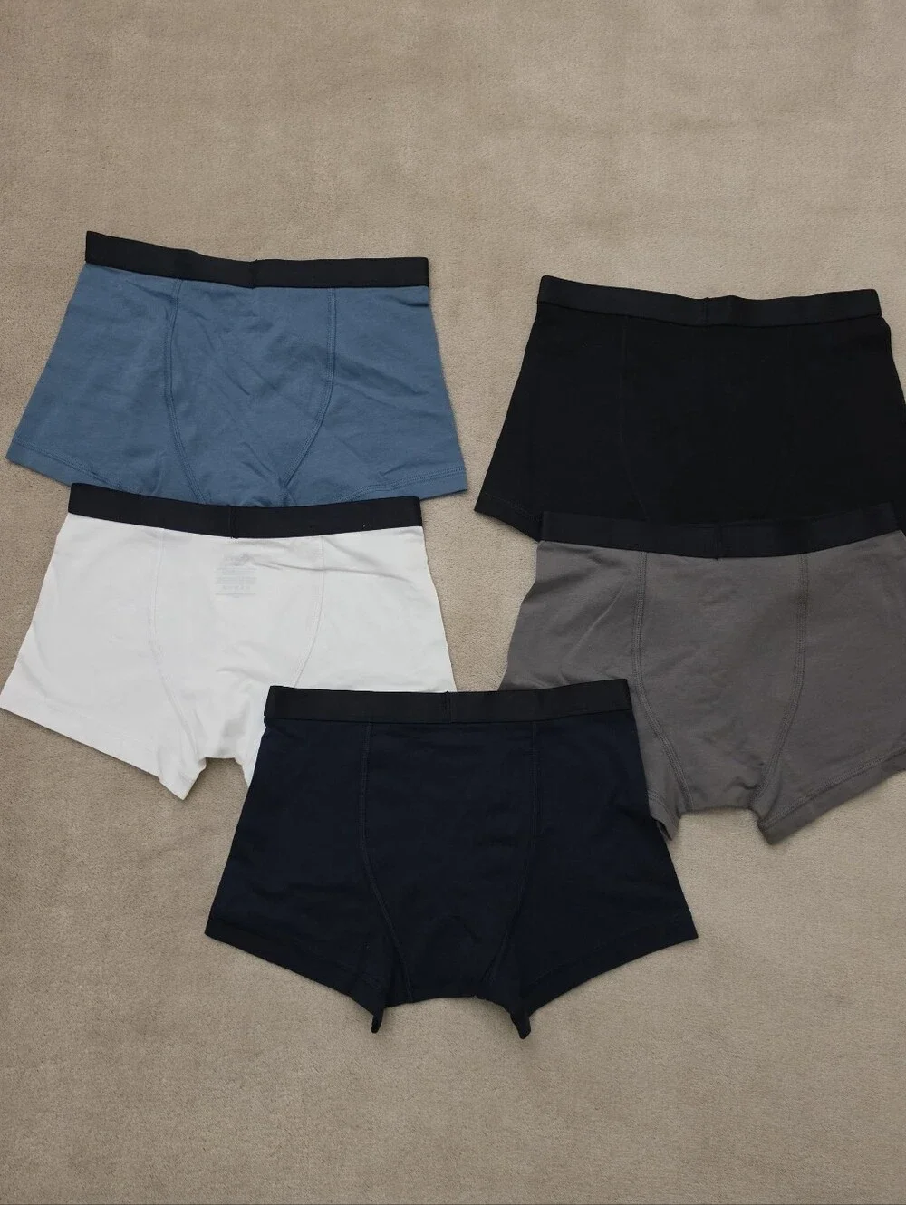 Quince Boy Multi-Color 5 Pack Organic Briefs Size 10 NWOT
